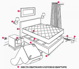 Фотография Санитарная служба 0